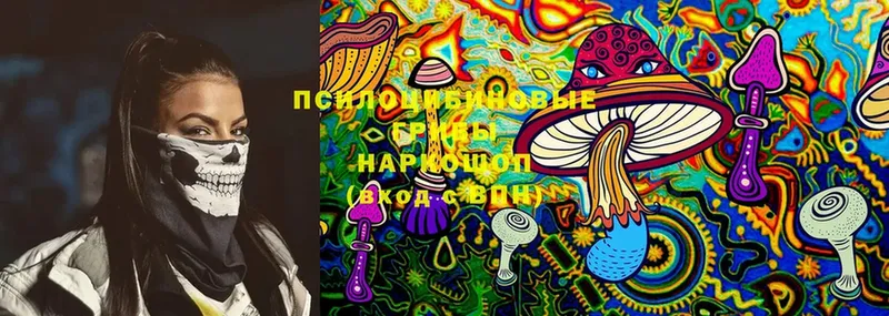 Галлюциногенные грибы MAGIC MUSHROOMS Владивосток